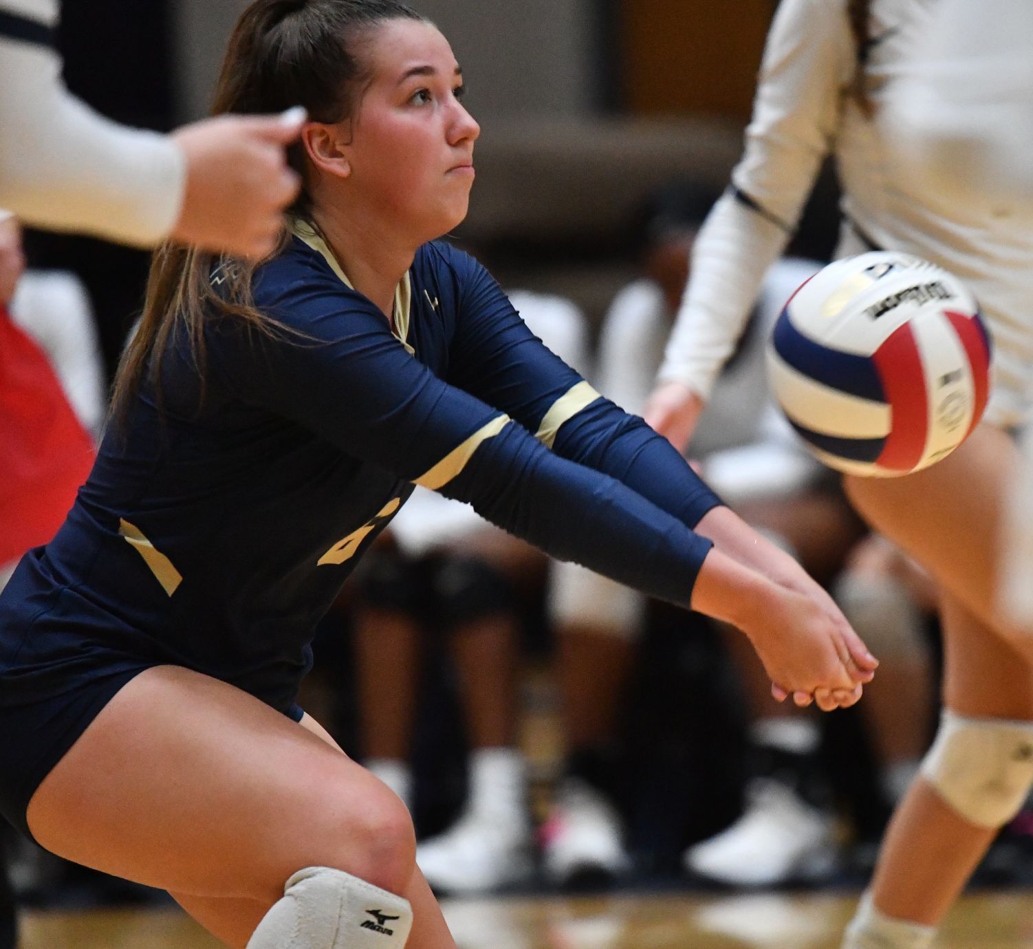 Edwardsville vs Althoff 4A Volleyball Sectional Semifinal